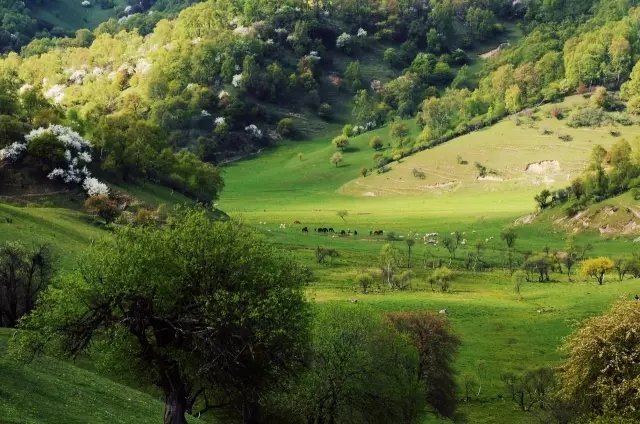 008PG国际(中国区)-官方网站