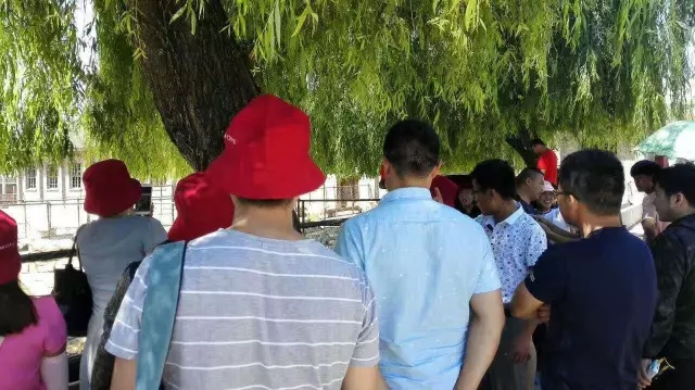 008PG国际(中国区)-官方网站