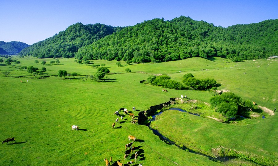 008PG国际(中国区)-官方网站