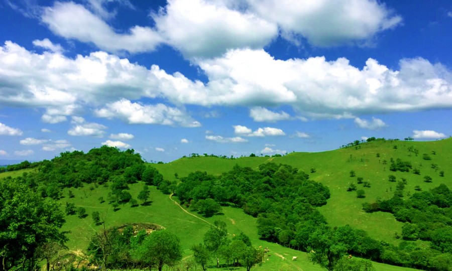 008PG国际(中国区)-官方网站