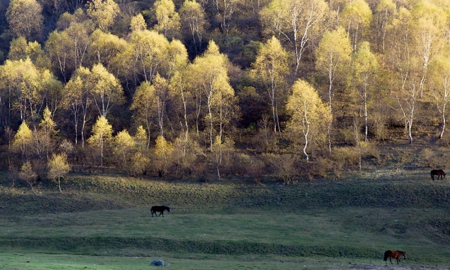 008PG国际(中国区)-官方网站