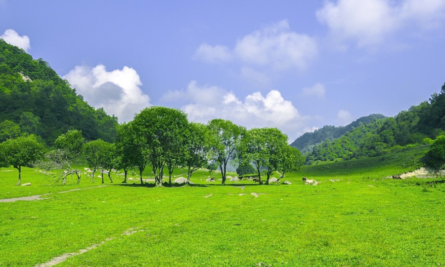 008PG国际(中国区)-官方网站