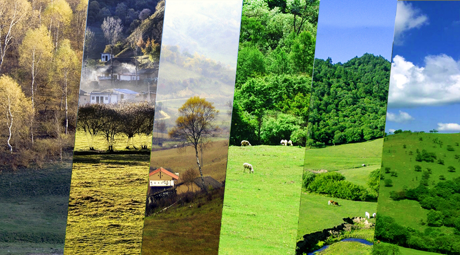 008PG国际(中国区)-官方网站