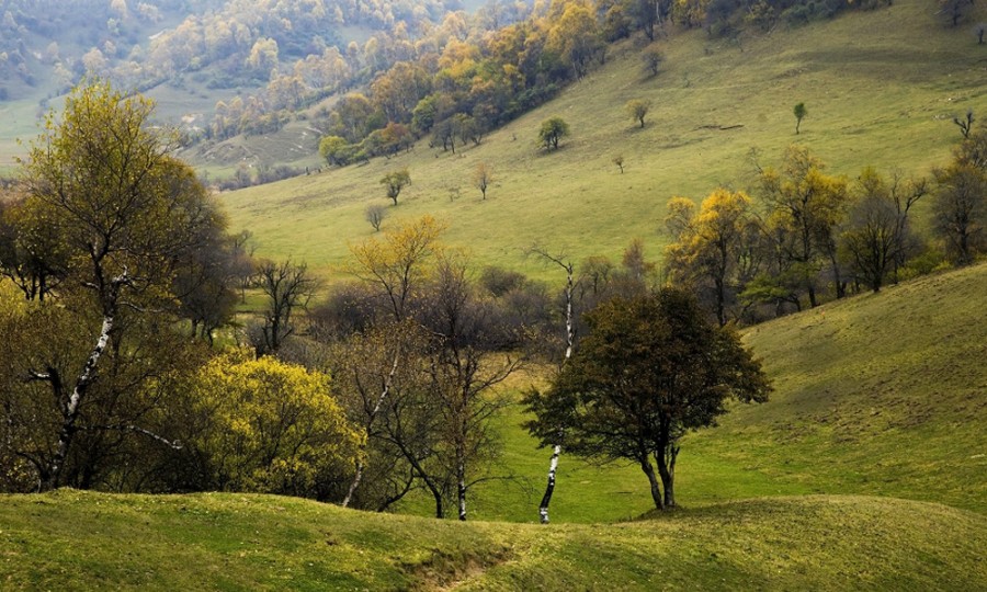 008PG国际(中国区)-官方网站