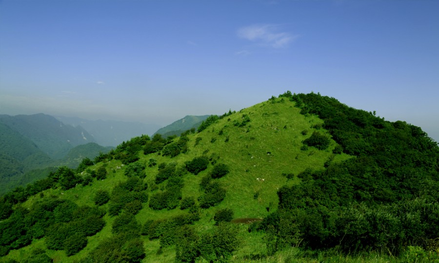 008PG国际(中国区)-官方网站