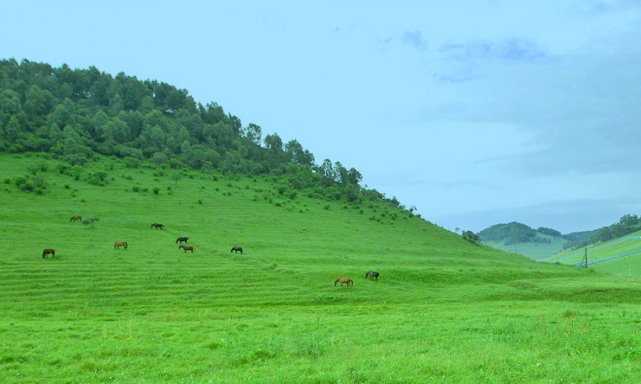 008PG国际(中国区)-官方网站