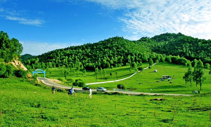 008PG国际(中国区)-官方网站