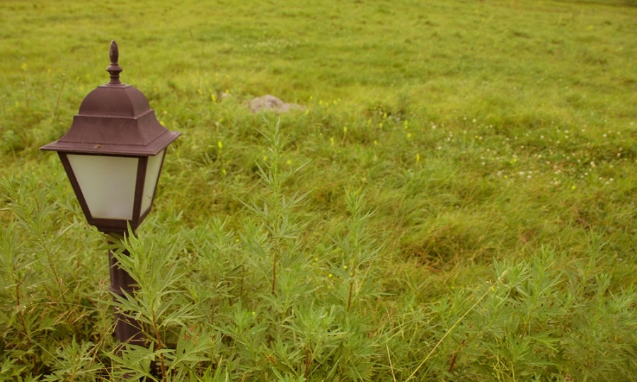 008PG国际(中国区)-官方网站