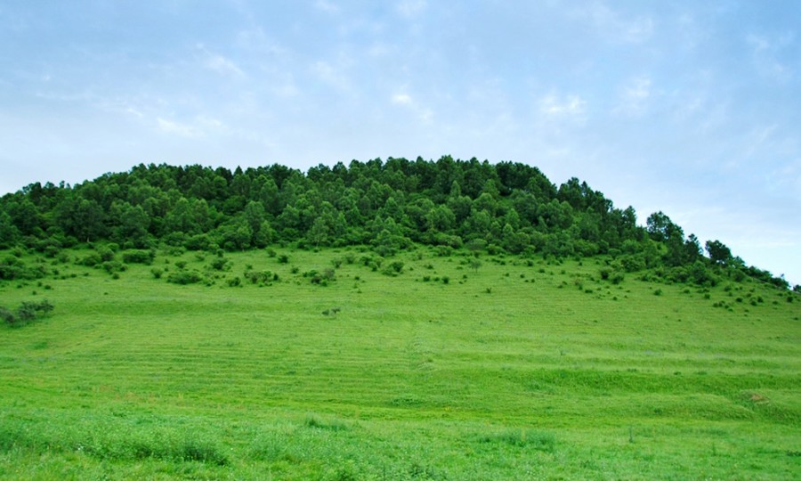 008PG国际(中国区)-官方网站