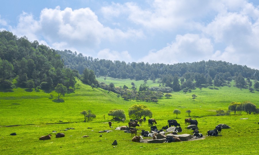 008PG国际(中国区)-官方网站
