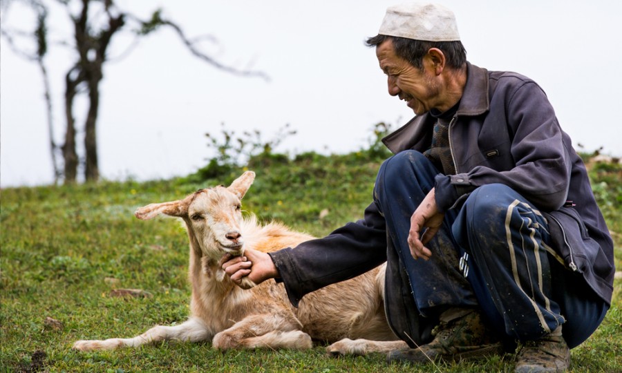 008PG国际(中国区)-官方网站