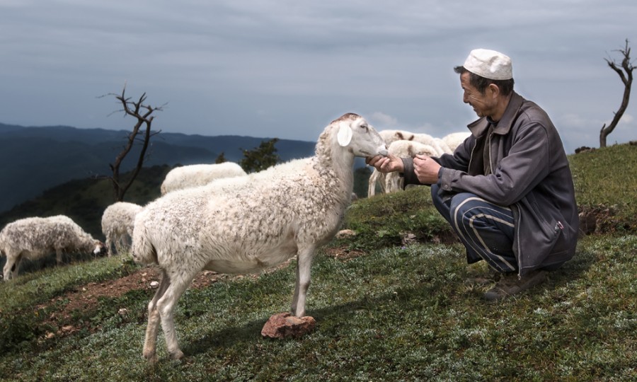 008PG国际(中国区)-官方网站