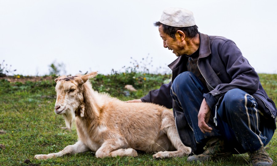 008PG国际(中国区)-官方网站
