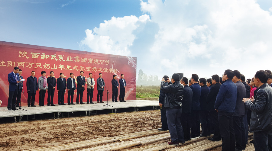 008PG国际(中国区)-官方网站