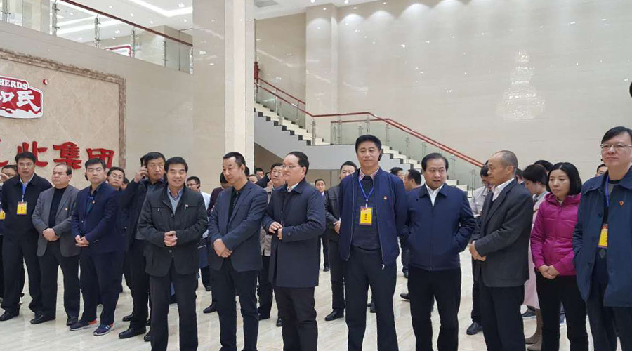 008PG国际(中国区)-官方网站