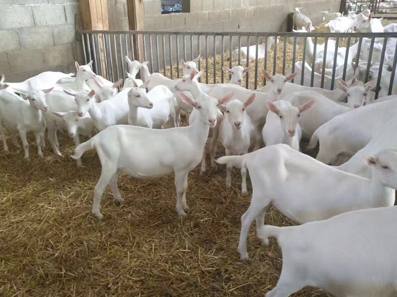 008PG国际(中国区)-官方网站