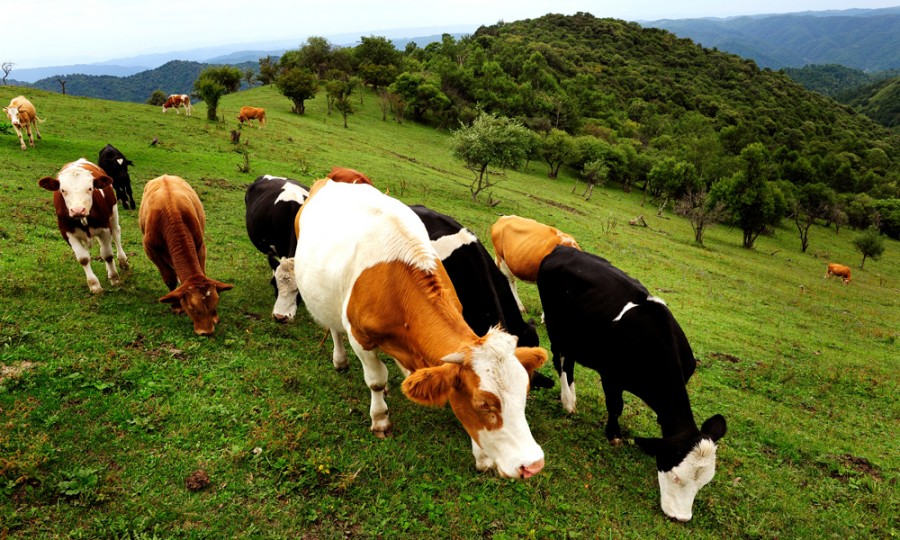 008PG国际(中国区)-官方网站