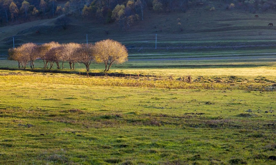 008PG国际(中国区)-官方网站