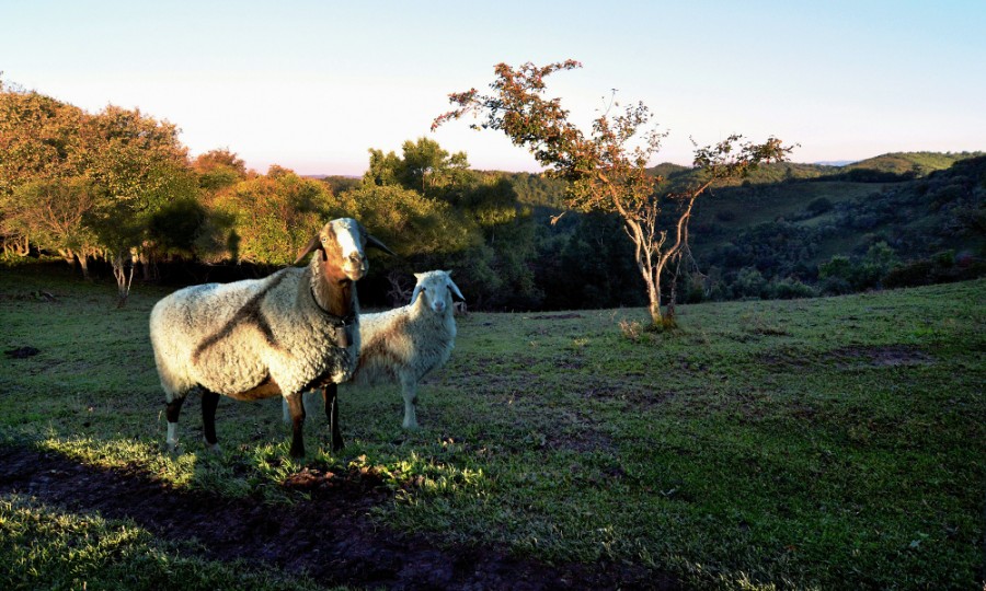 008PG国际(中国区)-官方网站