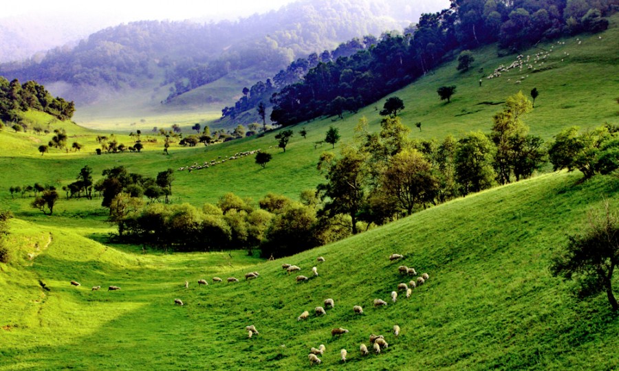 008PG国际(中国区)-官方网站