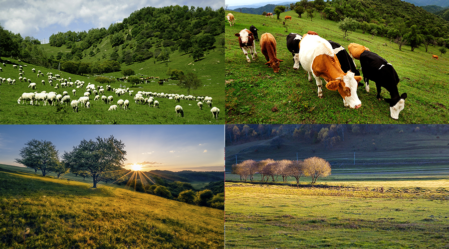 008PG国际(中国区)-官方网站