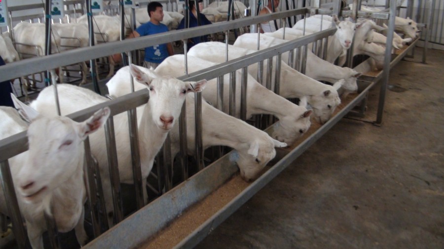 008PG国际(中国区)-官方网站