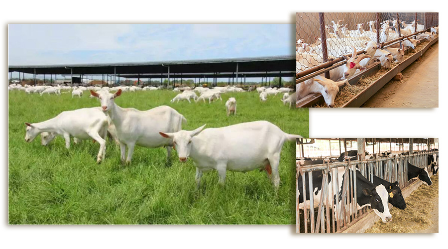 008PG国际(中国区)-官方网站