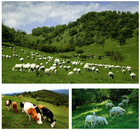 008PG国际(中国区)-官方网站