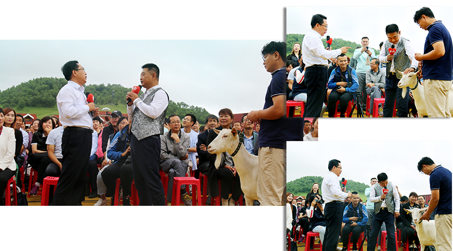 008PG国际(中国区)-官方网站