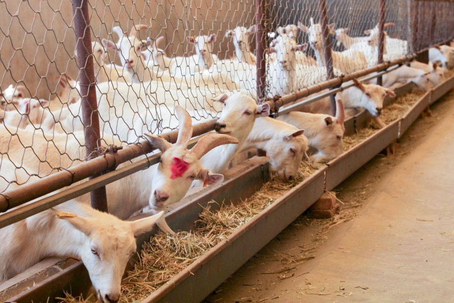 008PG国际(中国区)-官方网站