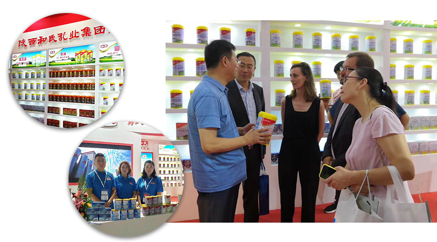 008PG国际(中国区)-官方网站