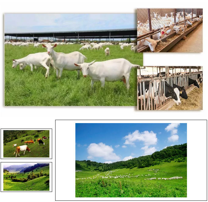 008PG国际(中国区)-官方网站