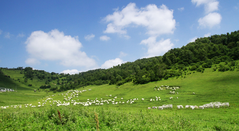 008PG����(�й���)-�ٷ���վ