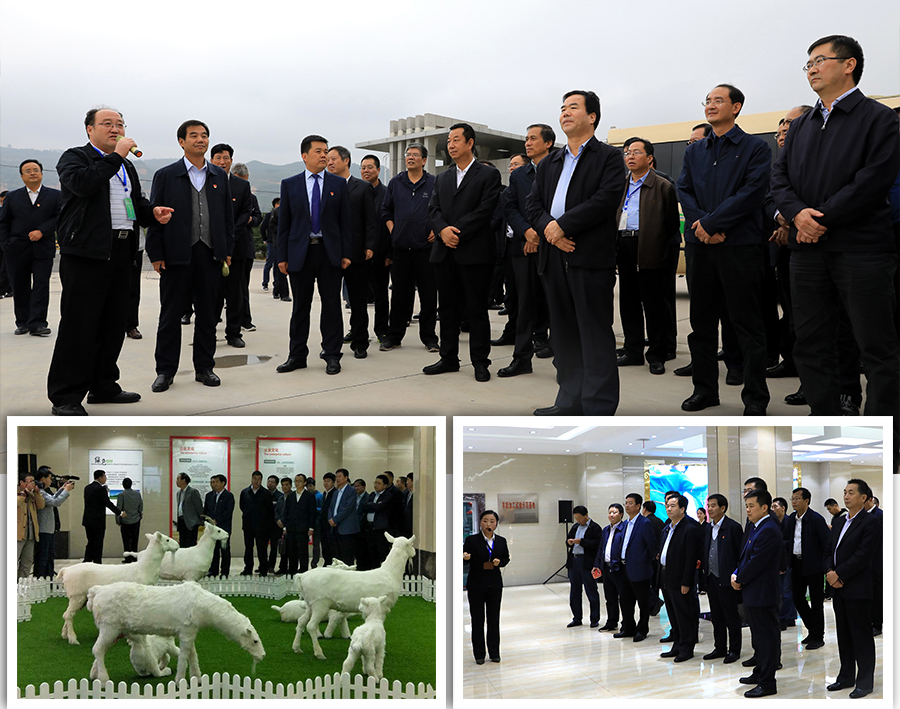 008PG国际(中国区)-官方网站