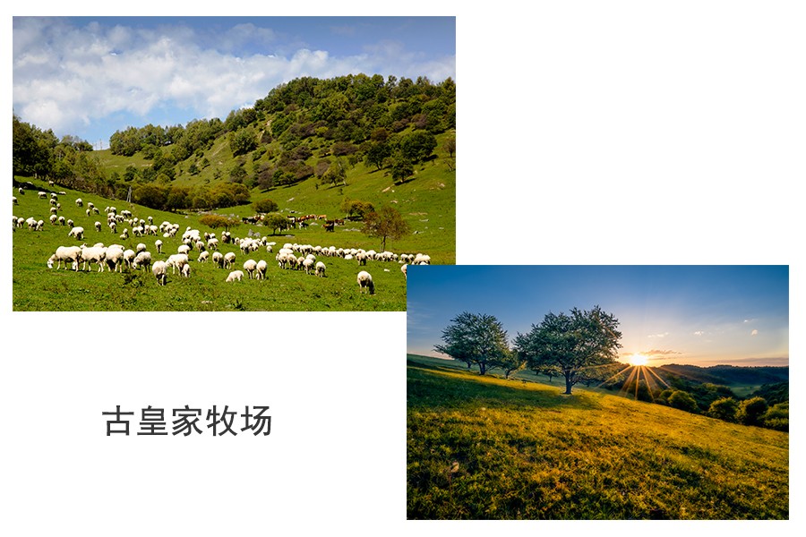 008PG国际(中国区)-官方网站