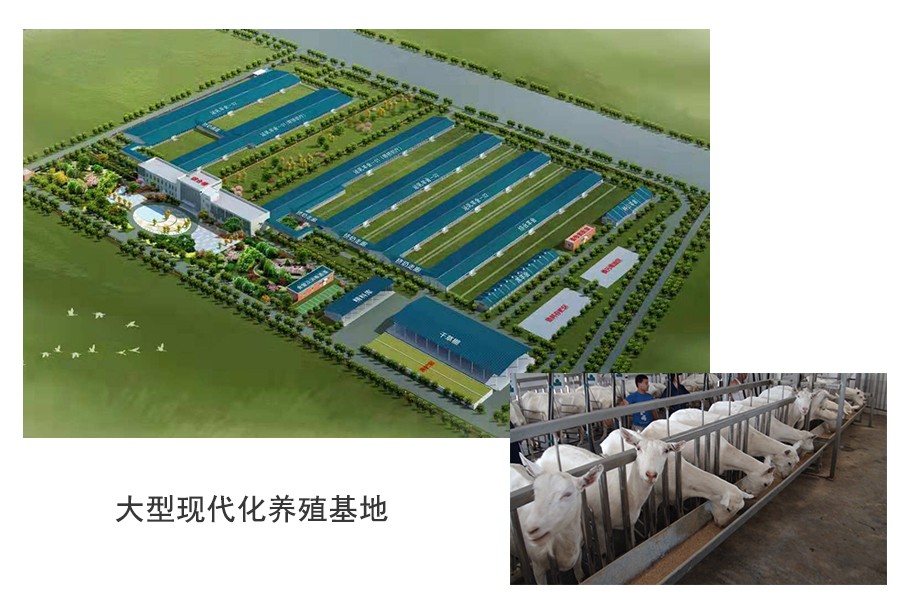 008PG国际(中国区)-官方网站