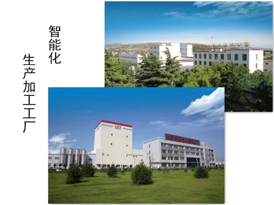 008PG国际(中国区)-官方网站