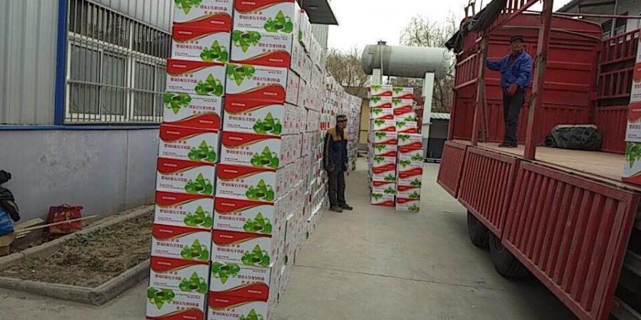 008PG国际(中国区)-官方网站