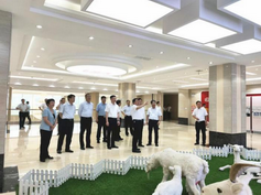 008PG国际(中国区)-官方网站