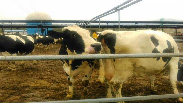 008PG国际(中国区)-官方网站