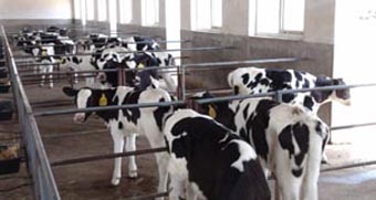 008PG国际(中国区)-官方网站