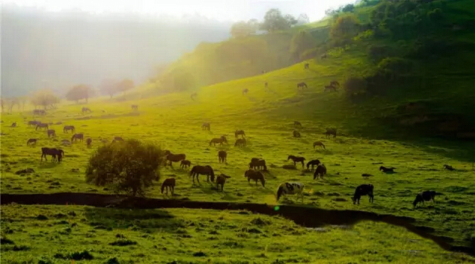 008PG国际(中国区)-官方网站
