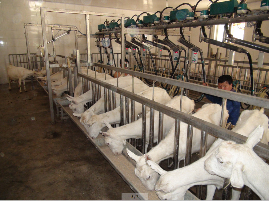 008PG国际(中国区)-官方网站