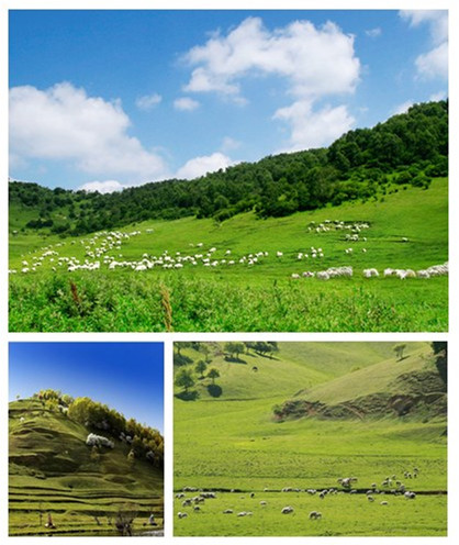 008PG国际(中国区)-官方网站