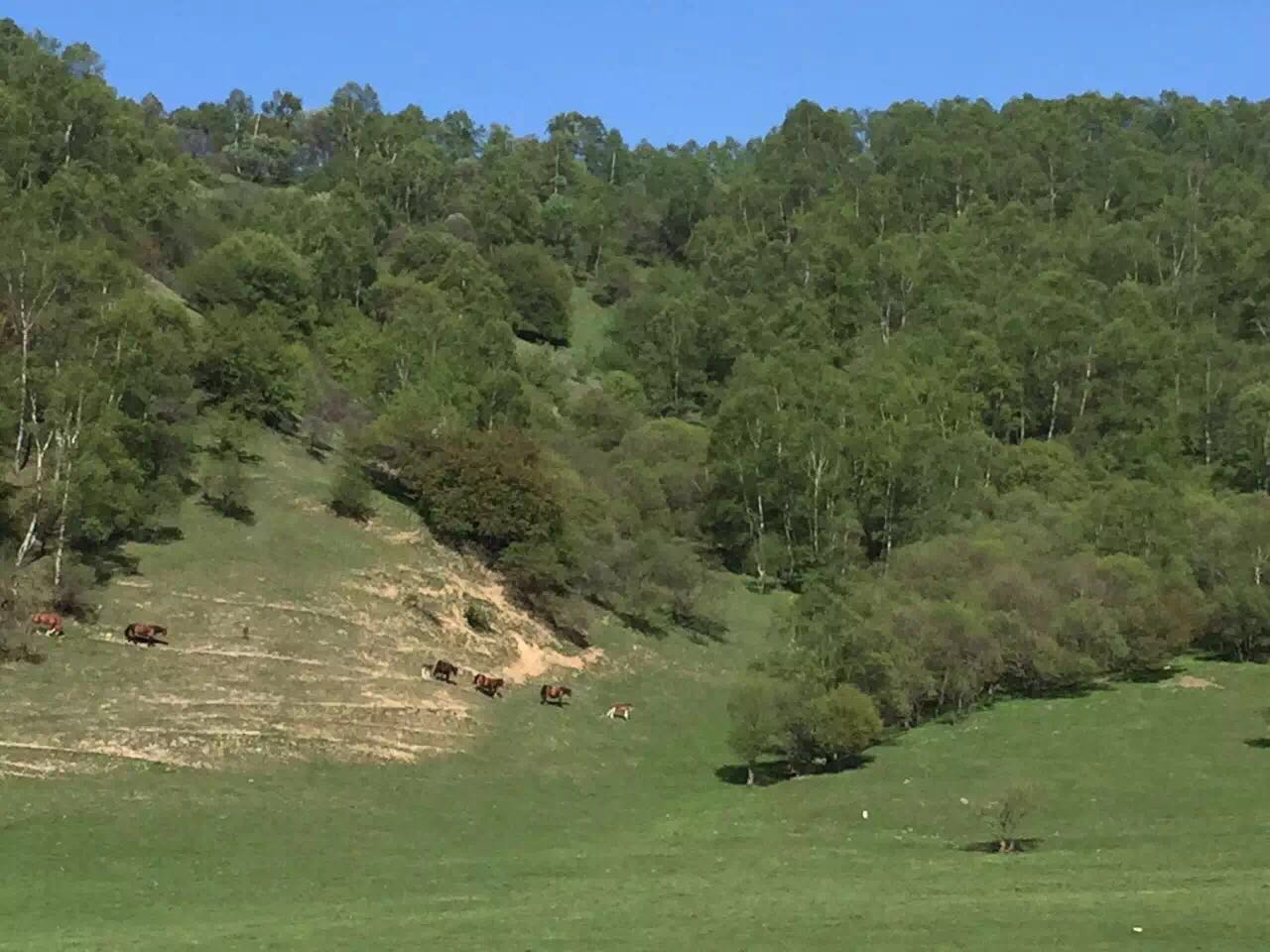 008PG国际(中国区)-官方网站