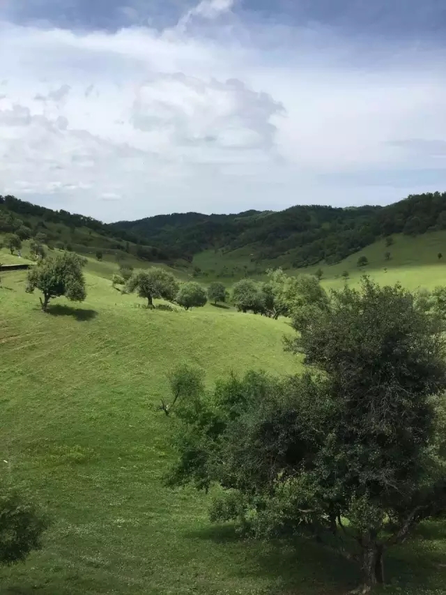 008PG国际(中国区)-官方网站