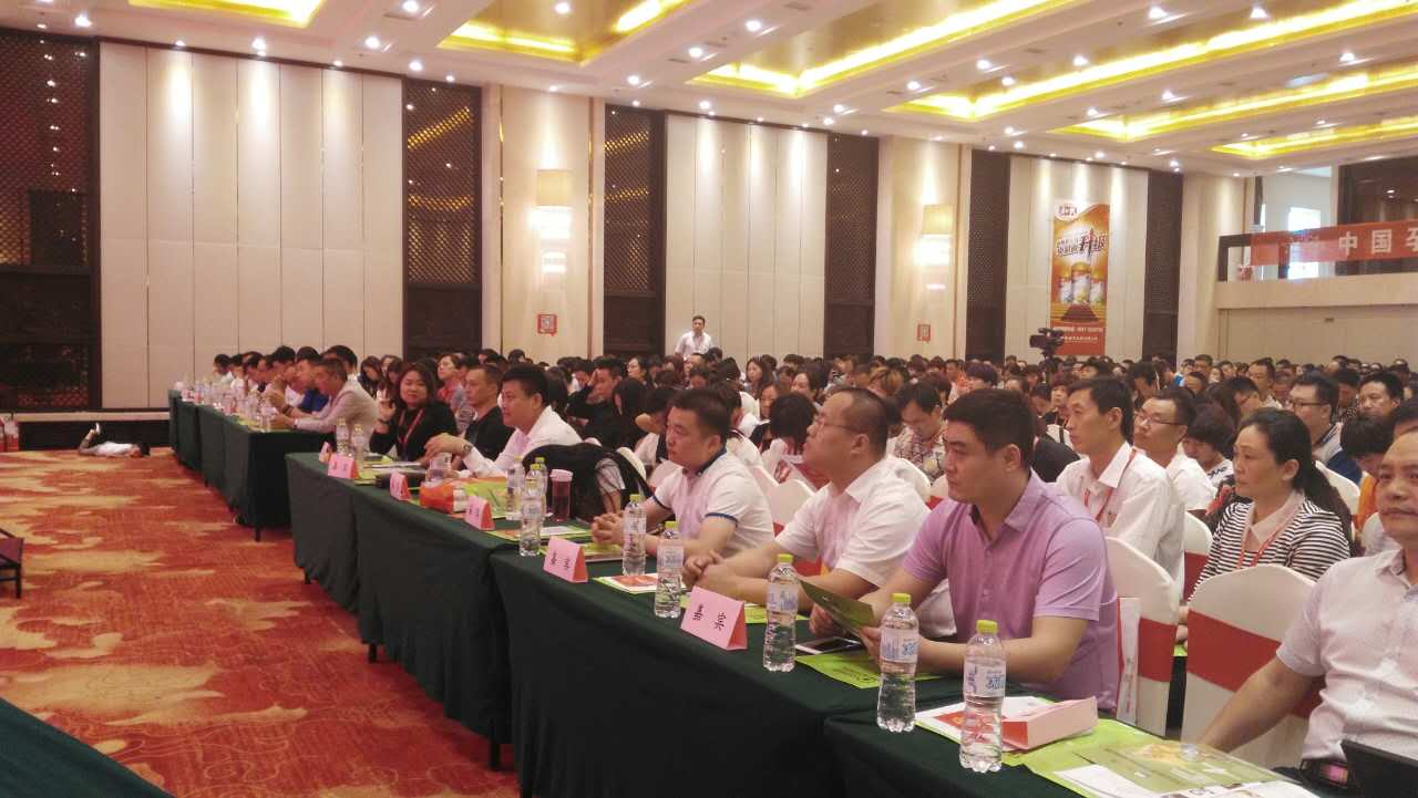 008PG国际(中国区)-官方网站