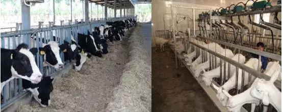 008PG国际(中国区)-官方网站