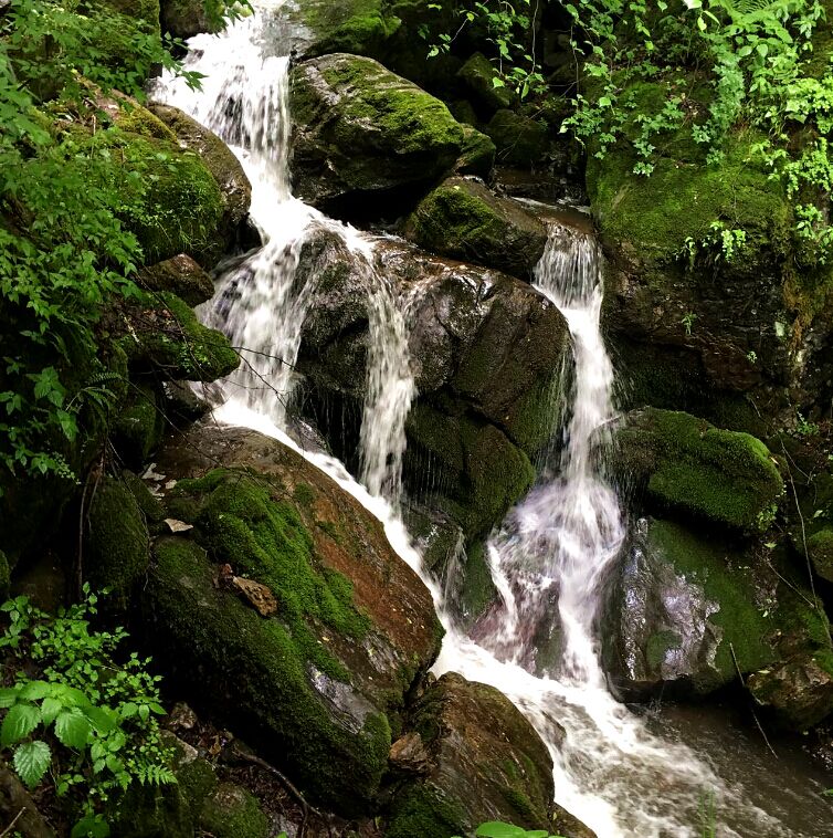 008PG国际(中国区)-官方网站