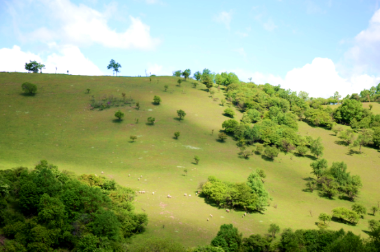 008PG国际(中国区)-官方网站